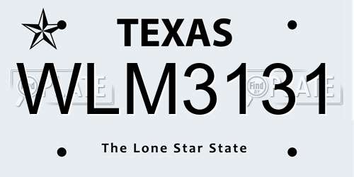 WLM3131 Texas License Plate