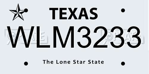 WLM3233 Texas License Plate