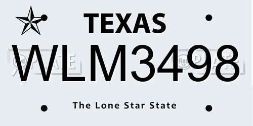 WLM3498 Texas License Plate
