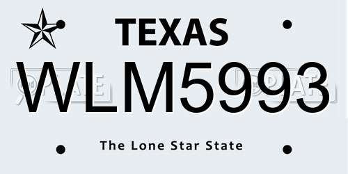 WLM5993 Texas License Plate