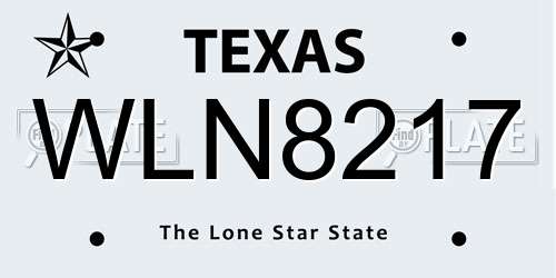 WLN8217 Texas License Plate
