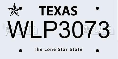 WLP3073 Texas License Plate