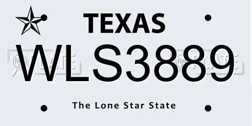 WLS3889 Texas License Plate