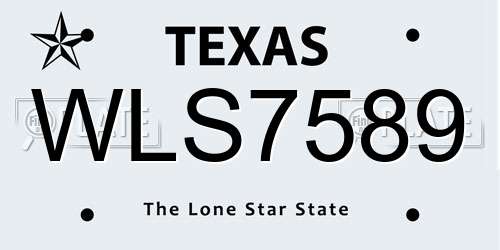 WLS7589 Texas License Plate