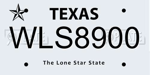 WLS8900 Texas License Plate
