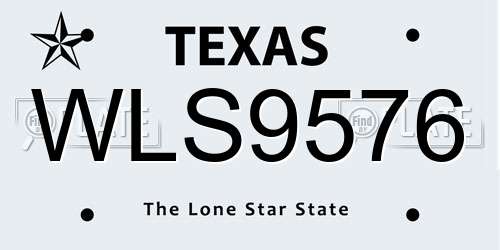 WLS9576 Texas License Plate