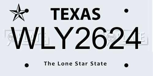 WLY2624 Texas License Plate