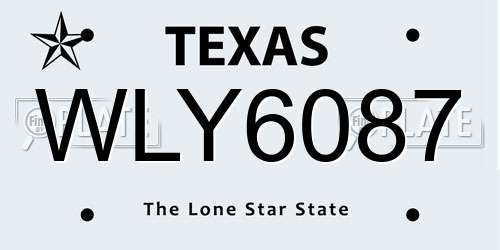 WLY6087 Texas License Plate
