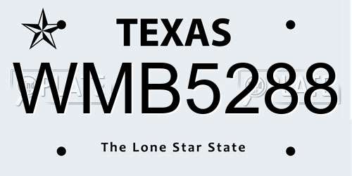 WMB5288 Texas License Plate