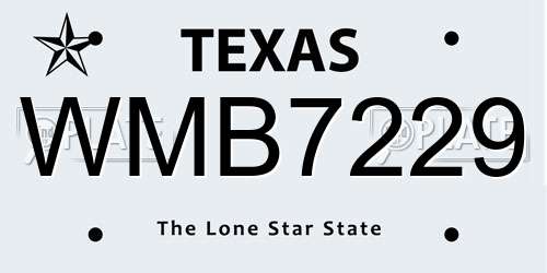 WMB7229 Texas License Plate