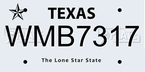 WMB7317 Texas License Plate