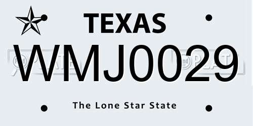 WMJ0029 Texas License Plate