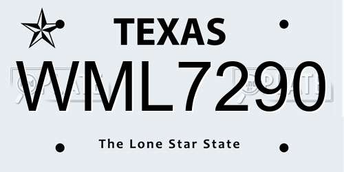 WML7290 Texas License Plate