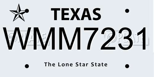 WMM7231 Texas License Plate