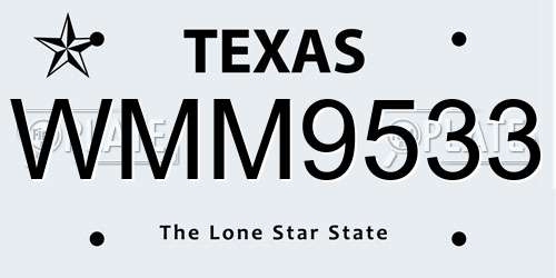 WMM9533 Texas License Plate