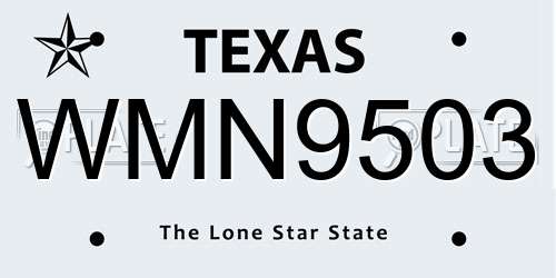 WMN9503 Texas License Plate