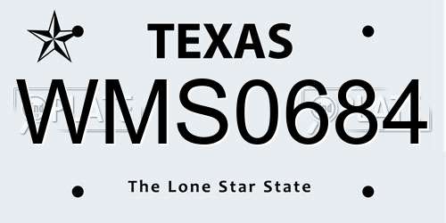 WMS0684 Texas License Plate
