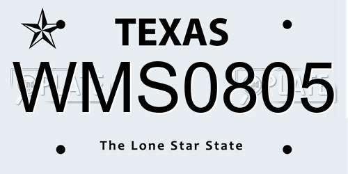 WMS0805 Texas License Plate