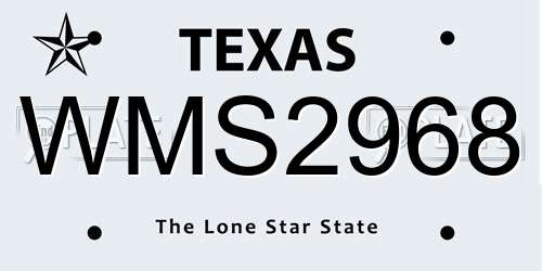 WMS2968 Texas License Plate