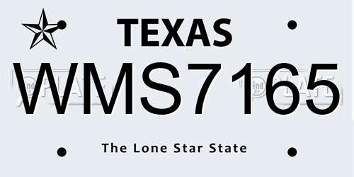 WMS7165 Texas License Plate