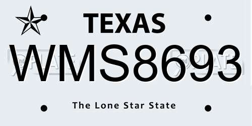 WMS8693 Texas License Plate