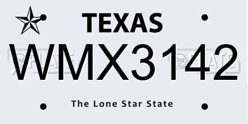 WMX3142 Texas License Plate