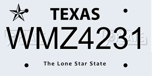 WMZ4231 Texas License Plate