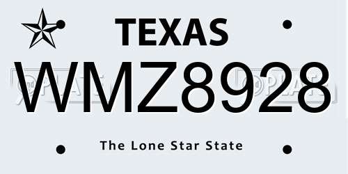 WMZ8928 Texas License Plate