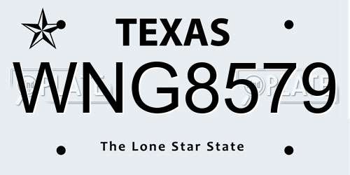WNG8579 Texas License Plate