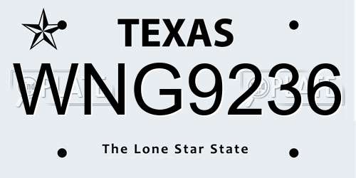 WNG9236 Texas License Plate