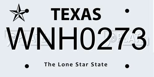 WNH0273 Texas License Plate