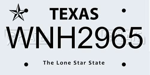 WNH2965 Texas License Plate