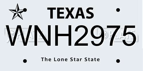 WNH2975 Texas License Plate
