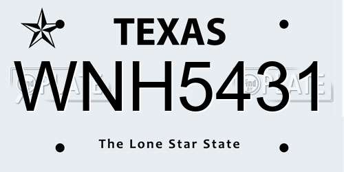 WNH5431 Texas License Plate