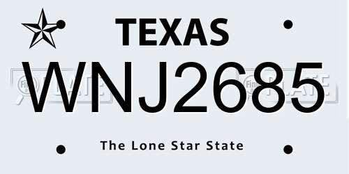 WNJ2685 Texas License Plate