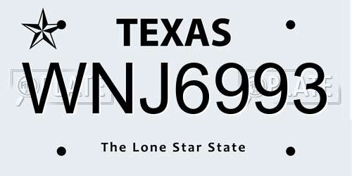 WNJ6993 Texas License Plate
