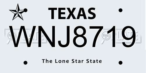 WNJ8719 Texas License Plate