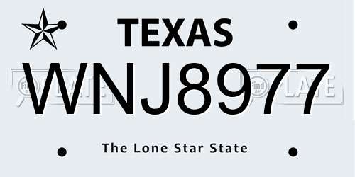 WNJ8977 Texas License Plate