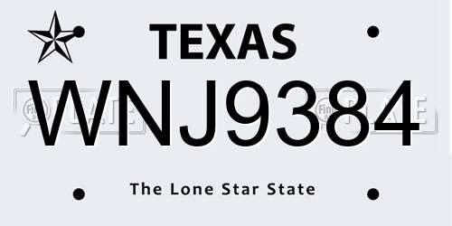 WNJ9384 Texas License Plate