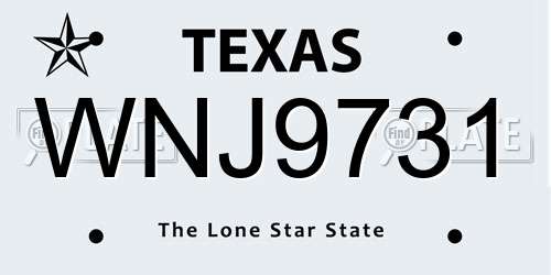 WNJ9731 Texas License Plate
