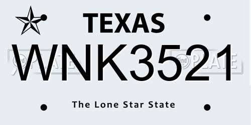 WNK3521 Texas License Plate