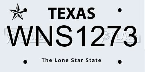 WNS1273 Texas License Plate