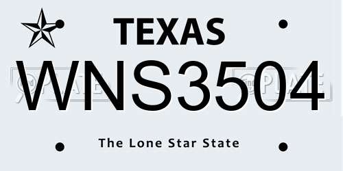 WNS3504 Texas License Plate