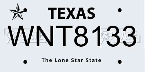 WNT8133 Texas License Plate