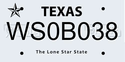 WS0B038 Texas License Plate