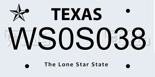 WS0S038 Texas License Plate