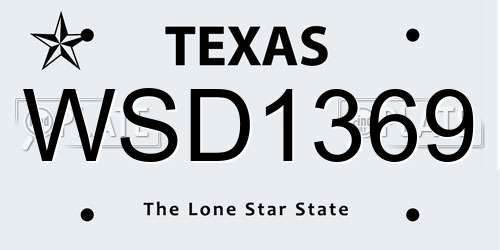 WSD1369 Texas License Plate