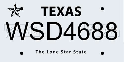 WSD4688 Texas License Plate