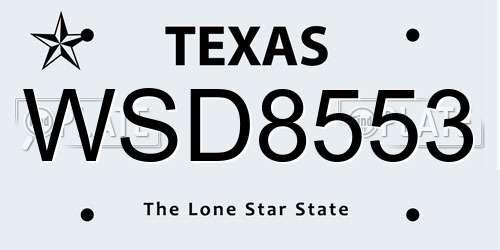 WSD8553 Texas License Plate