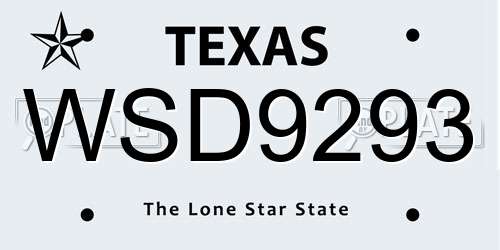 WSD9293 Texas License Plate